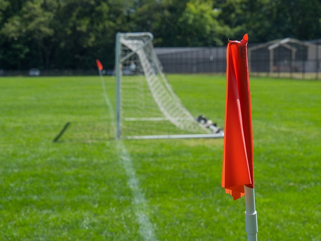 img1.png